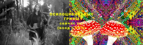 дурь Алексеевка