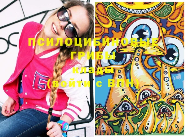 дурь Алексеевка