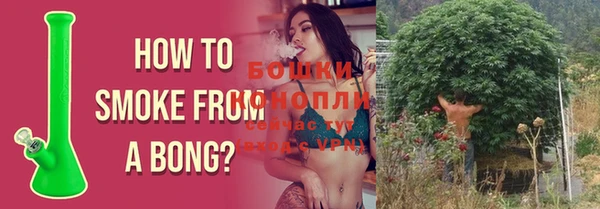 дурь Алексеевка