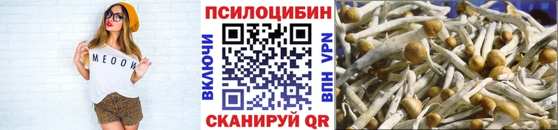 kraken зеркало  Нижние Серги  Псилоцибиновые грибы Magic Shrooms 